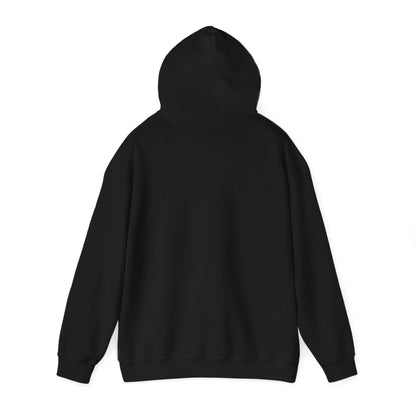 My Name is Darshen Hoodie