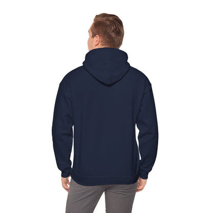 My Name is Darshen Hoodie