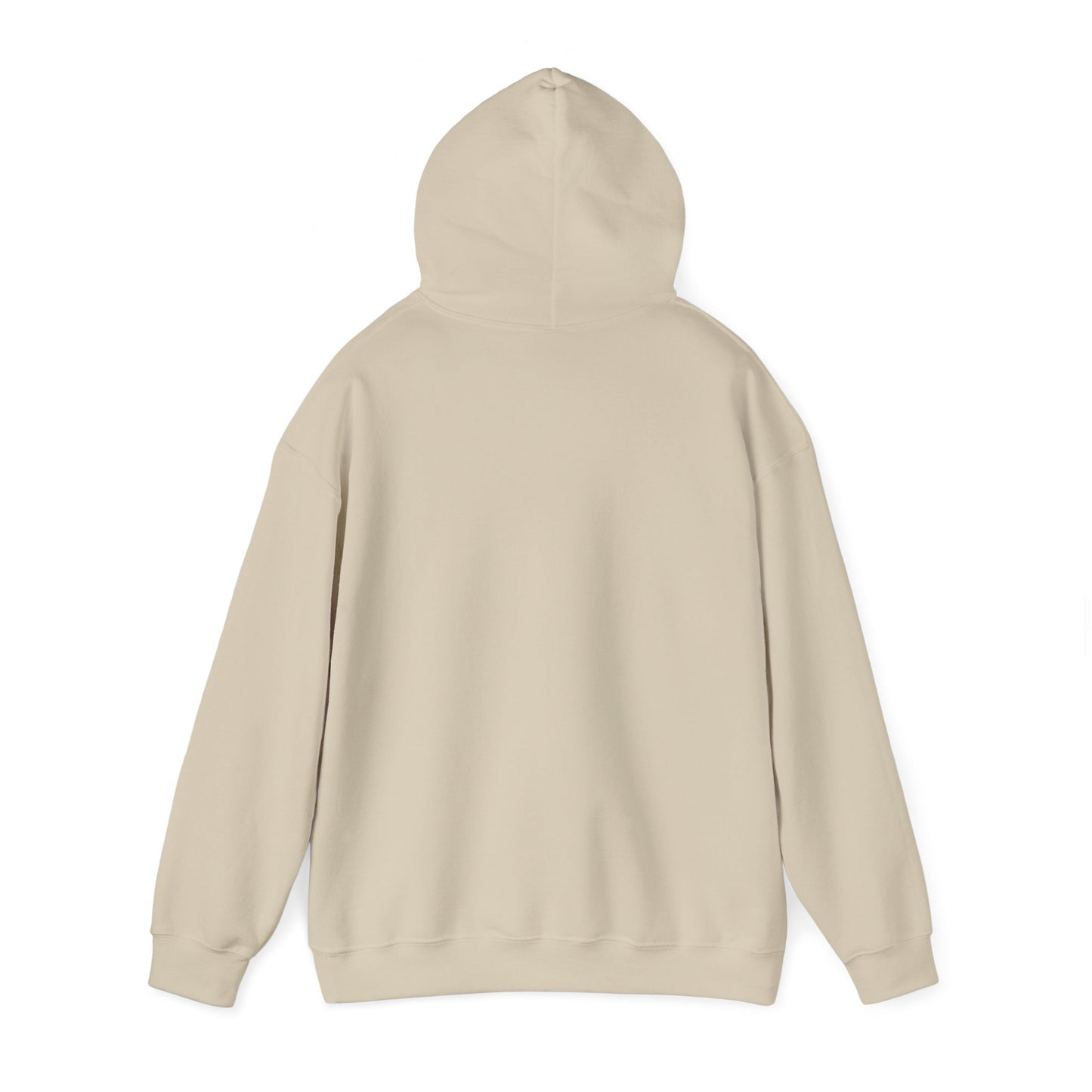 My Name is Darshen Hoodie