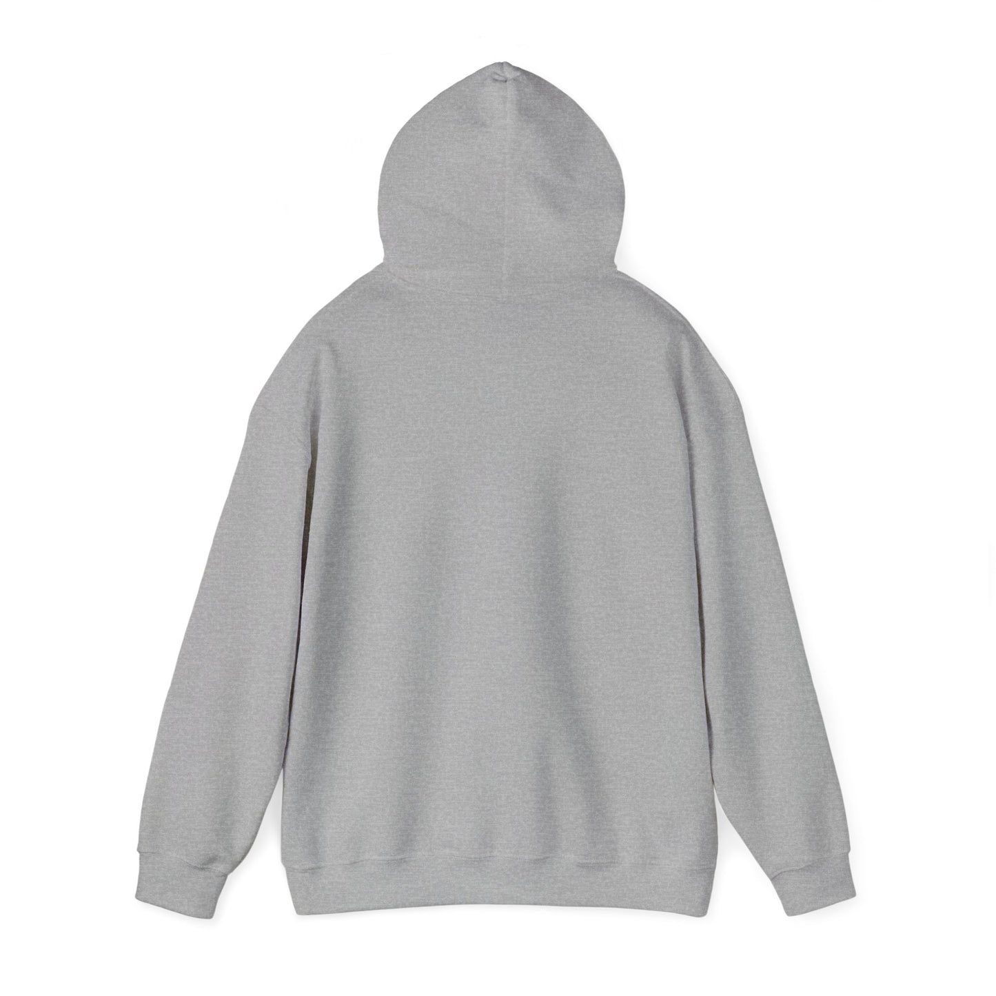 My Name is Darshen Hoodie
