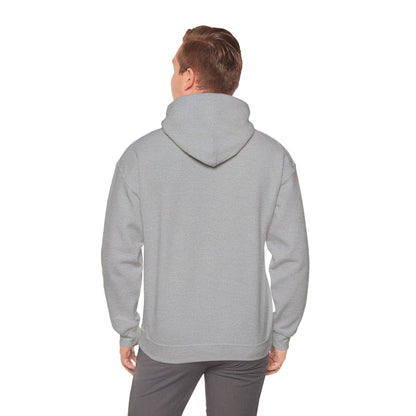 My Name is Darshen Hoodie